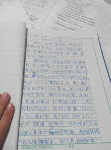 校園關(guān)愛(ài)的作文550字