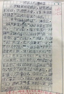 關(guān)于校園的地方很美的作文開頭