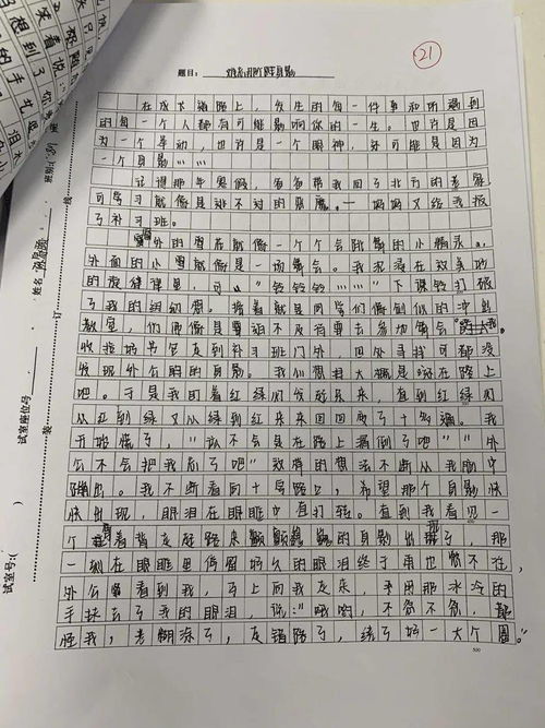 溫暖的校園的作文600字初一作文開頭和結尾