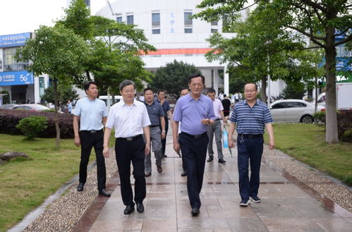 新的校園新的環(huán)境800字作文