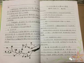 杜絕校園欺凌爭做文明學生作文