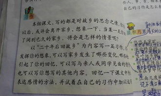 陽(yáng)光校園我們是好伙伴的作文五百字