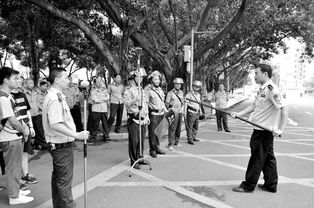 預(yù)防校園欺凌暴力作文,校園防暴力防欺凌作文,櫻花校園模擬器恐怖作文