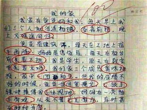 夢(mèng)回校園作文400字