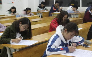 校園安全教育作文競賽