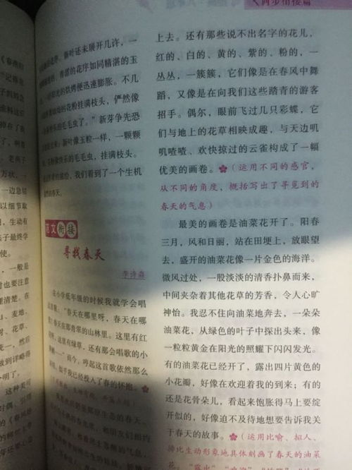 初中校園營養(yǎng)餐作文700