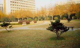 校園小趣事作文400字作文