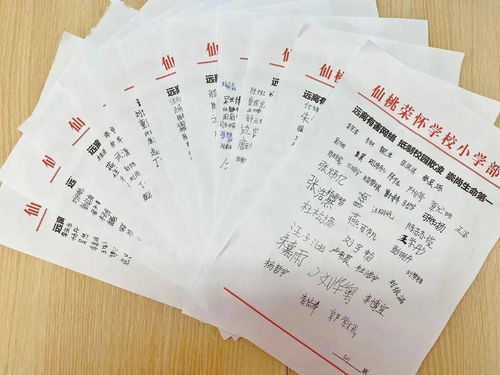 安全校園平安家園作文1000字