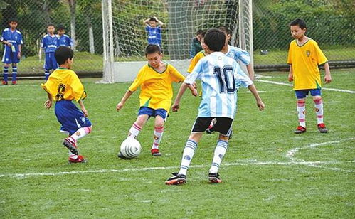 校園足球賽作文350