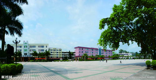 校園的一角作文臺山新寧中學