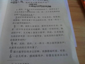 進入校園的感受作文,關(guān)于校園欺凌的感受的作文,來到校園的感受作文