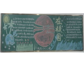 校園東韻800字作文