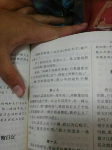 校園的樓道作文510字