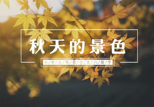 校園里秋天的景色作文二級