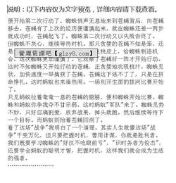 校園里的蜘蛛網(wǎng)作文