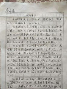 禁毒,作文,校園