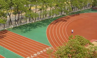 校園一道風(fēng)景線作文