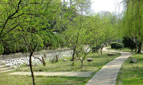 校園兩三事作文400字小學