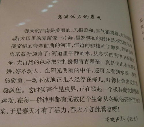 作文,短文,校園