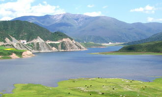 校園的風景初一作文600字作文大全