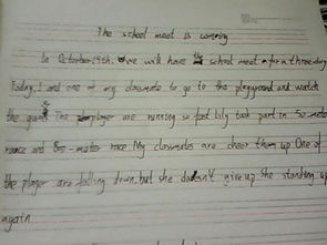 校園運動會英語作文范文