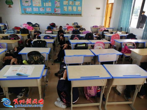 平安校園的作文,平安校園作文一等獎,以平安校園為主題的作文