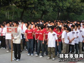 與校園運(yùn)動(dòng)會(huì)作文有關(guān)的題材