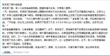 作文,四級,下冊,過渡