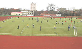 我的校園生活作文550唯美的