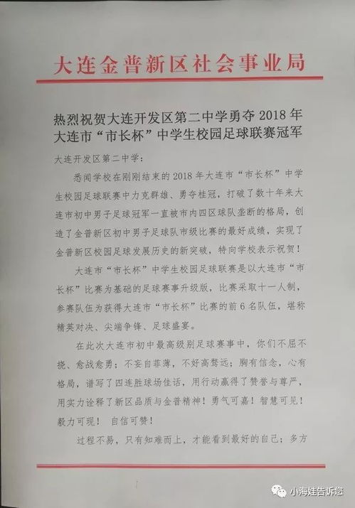 作文,中學(xué)生,足球,校園