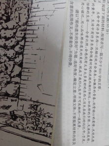 作文,高中,尋找,校園