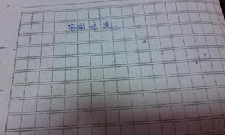 作文校園味道800