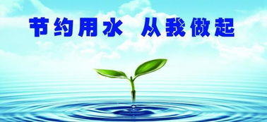 校園節(jié)約用水的小建議書作文