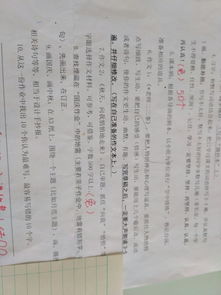 初中校園二三事500字作文