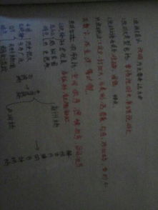 愛(ài)我校園說(shuō)明文作文