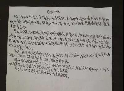 描寫校園學生的作文