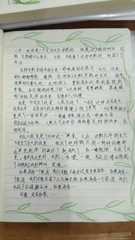 創(chuàng)建綠色校園作文600字,創(chuàng)建綠色校園作文400字作文,創(chuàng)建綠色校園作文300字