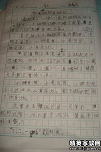 作文,運(yùn)動(dòng)會(huì),寫一篇,校園