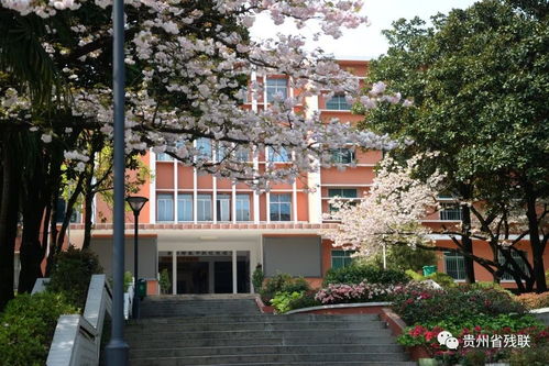 校園環(huán)境的美麗作文