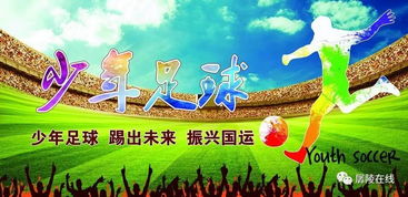 開展校園足球文化的作文