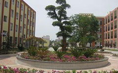 寫(xiě)校園花壇的作文350字