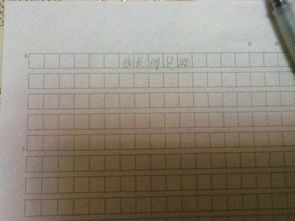 校園里的足跡作文500字