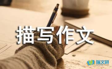 關(guān)于校園的場(chǎng)面描寫作文