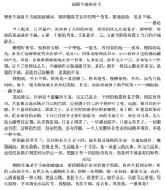 校園里的落葉作文,校園的落葉作文600字,秋天校園落葉作文