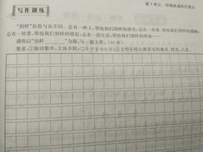 建設生態(tài)校園作文800字作文