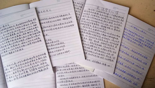 憲法進(jìn)校園作文800開頭結(jié)尾