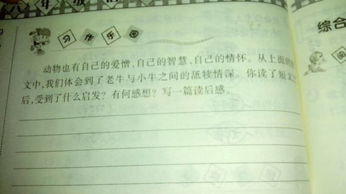 走進新校園250字作文