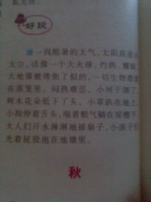 美麗的校園夏天作文200字作文怎么寫