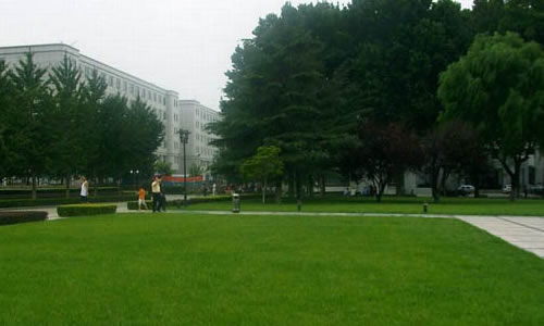 關于校園變化的800字作文