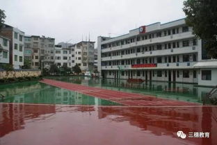 雁江二小校園一角作文300字